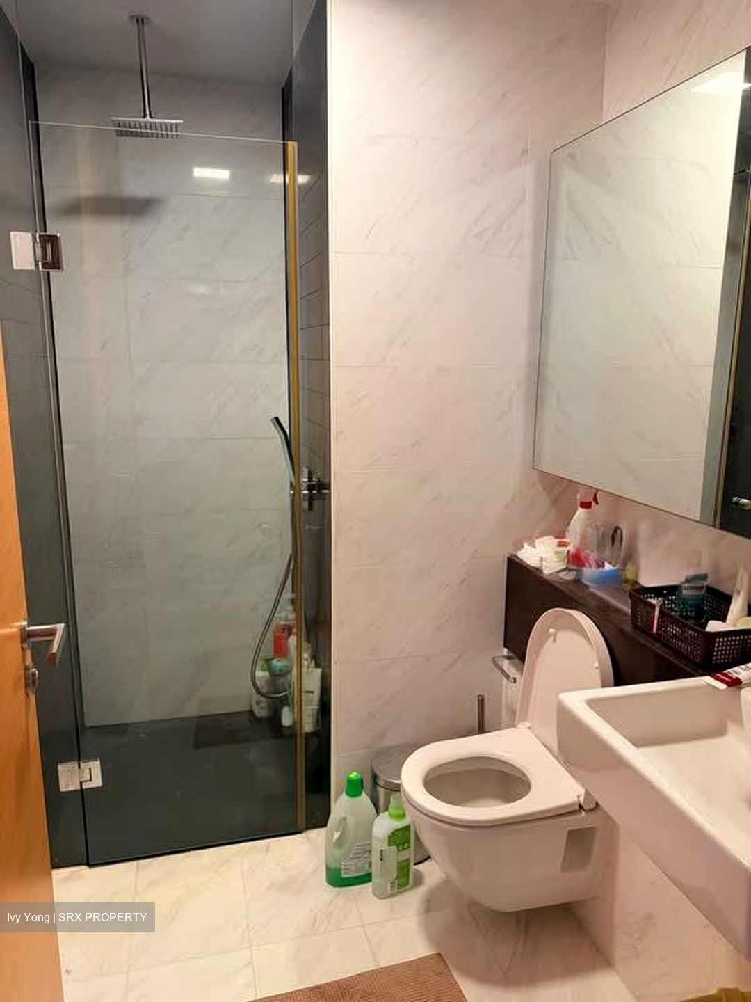 RV Residences (D10), Condominium #556135431